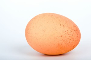 egg_191425