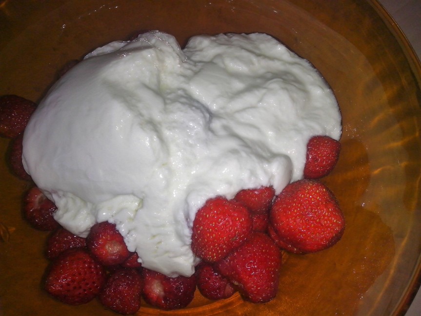 frozen yoghurt1